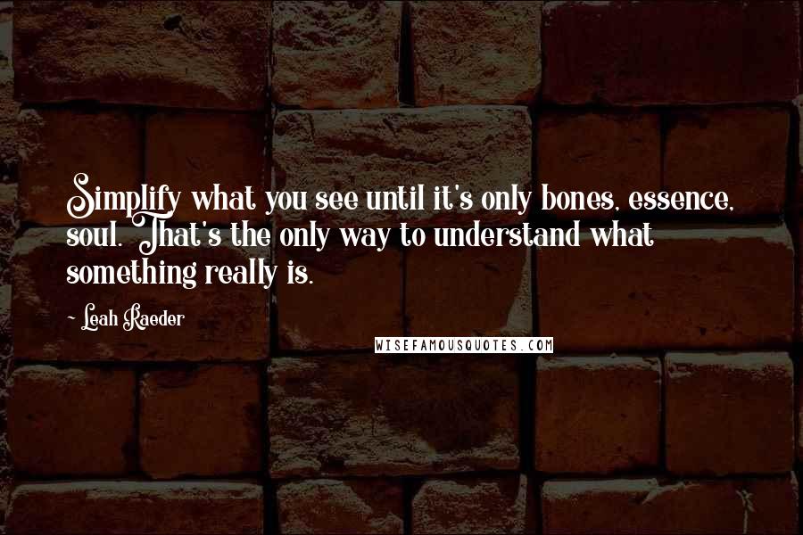 Leah Raeder Quotes: Simplify what you see until it's only bones, essence, soul. That's the only way to understand what something really is.