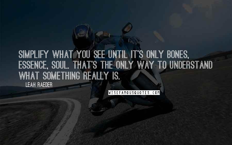 Leah Raeder Quotes: Simplify what you see until it's only bones, essence, soul. That's the only way to understand what something really is.