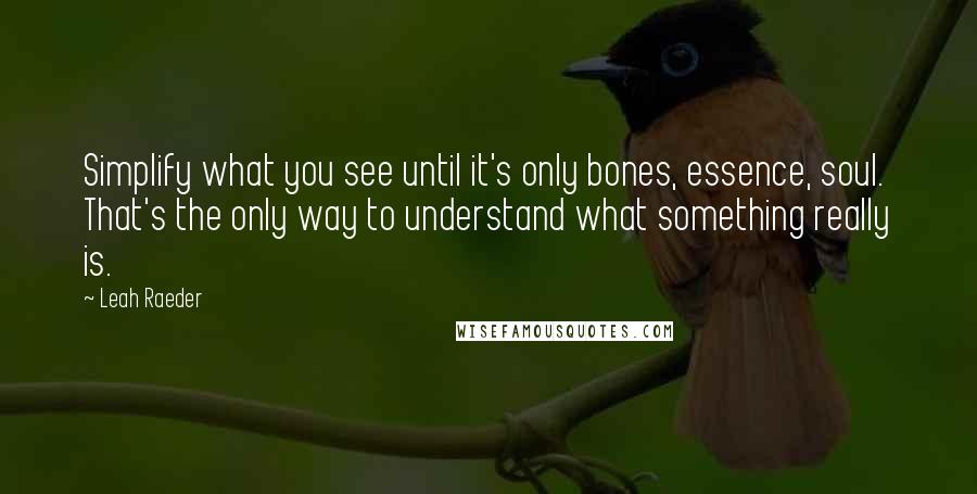 Leah Raeder Quotes: Simplify what you see until it's only bones, essence, soul. That's the only way to understand what something really is.