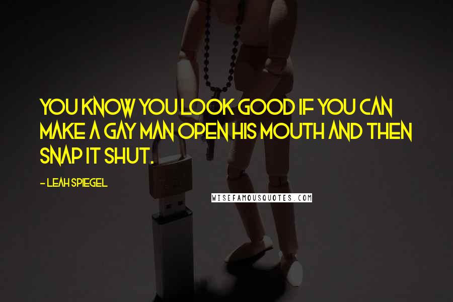 Leah Spiegel Quotes: You know you look good if you can make a gay man open his mouth and then snap it shut.