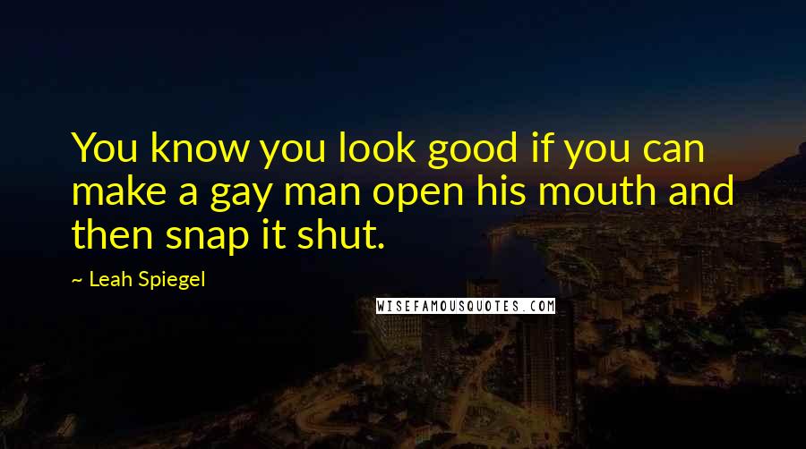 Leah Spiegel Quotes: You know you look good if you can make a gay man open his mouth and then snap it shut.