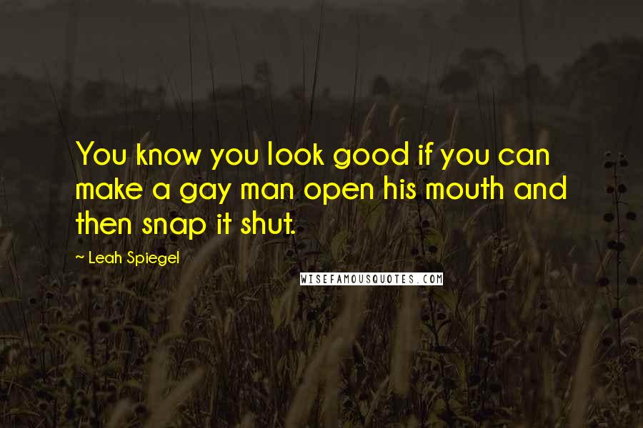 Leah Spiegel Quotes: You know you look good if you can make a gay man open his mouth and then snap it shut.