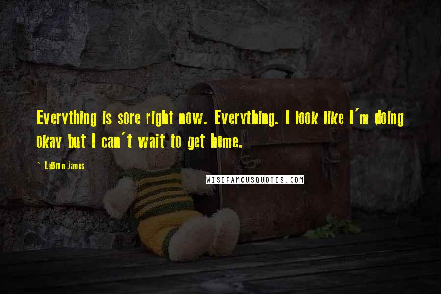 LeBron James Quotes: Everything is sore right now. Everything. I look like I'm doing okay but I can't wait to get home.