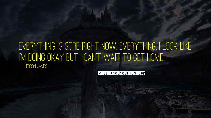 LeBron James Quotes: Everything is sore right now. Everything. I look like I'm doing okay but I can't wait to get home.