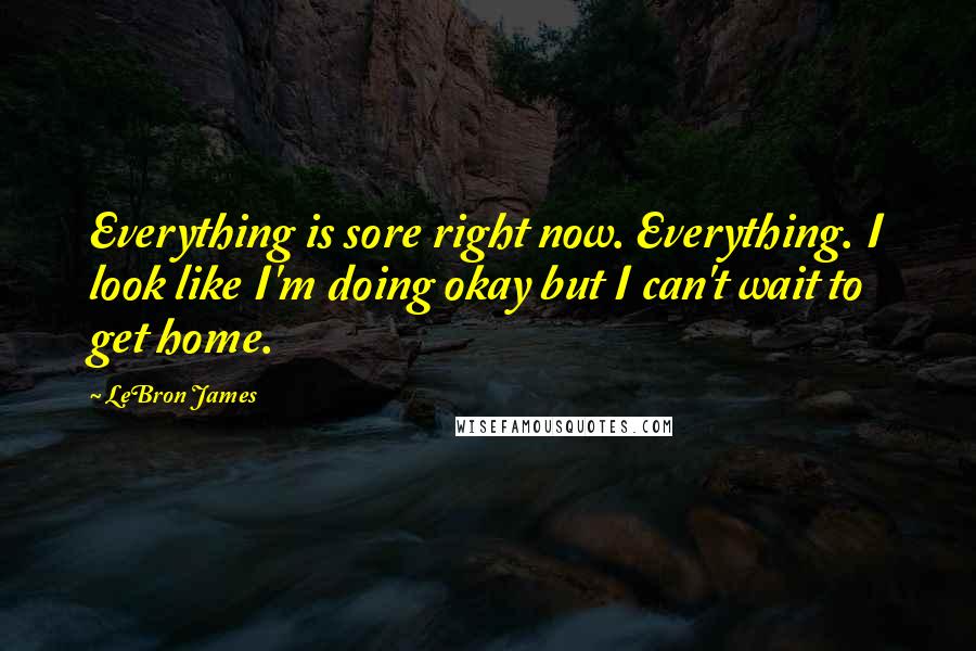 LeBron James Quotes: Everything is sore right now. Everything. I look like I'm doing okay but I can't wait to get home.