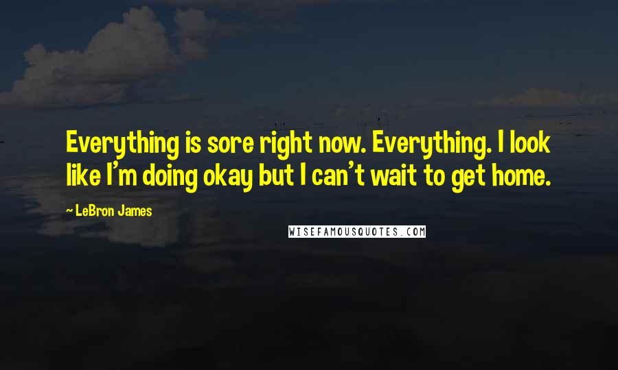 LeBron James Quotes: Everything is sore right now. Everything. I look like I'm doing okay but I can't wait to get home.