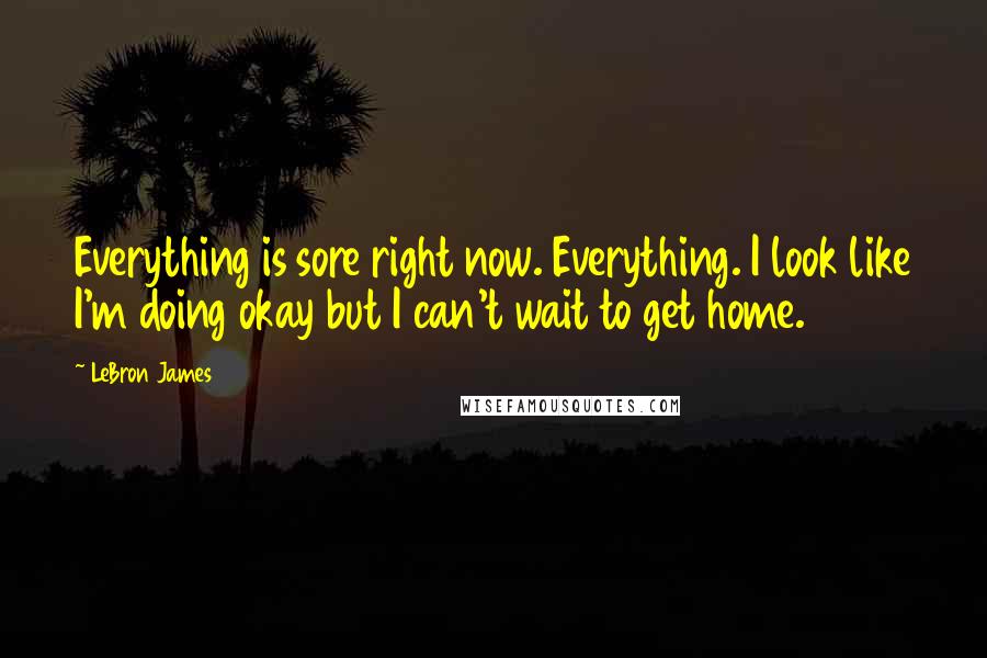 LeBron James Quotes: Everything is sore right now. Everything. I look like I'm doing okay but I can't wait to get home.