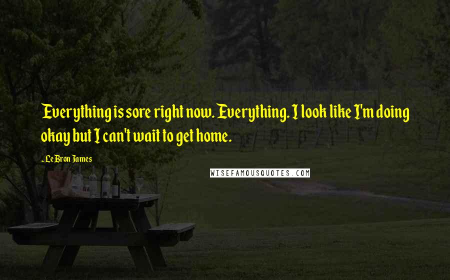 LeBron James Quotes: Everything is sore right now. Everything. I look like I'm doing okay but I can't wait to get home.