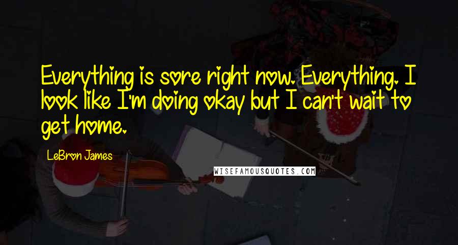 LeBron James Quotes: Everything is sore right now. Everything. I look like I'm doing okay but I can't wait to get home.