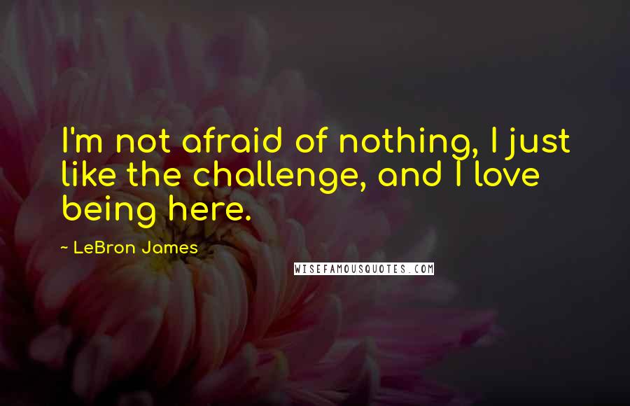 LeBron James Quotes: I'm not afraid of nothing, I just like the challenge, and I love being here.