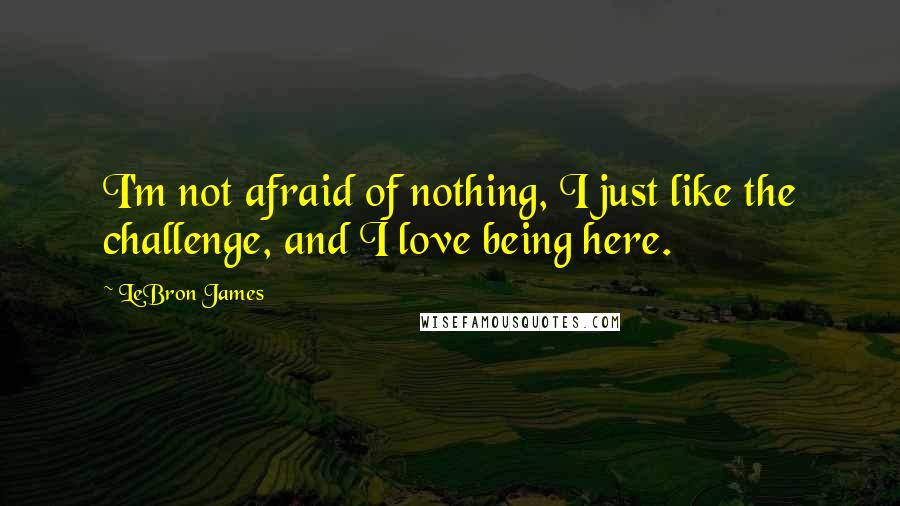 LeBron James Quotes: I'm not afraid of nothing, I just like the challenge, and I love being here.