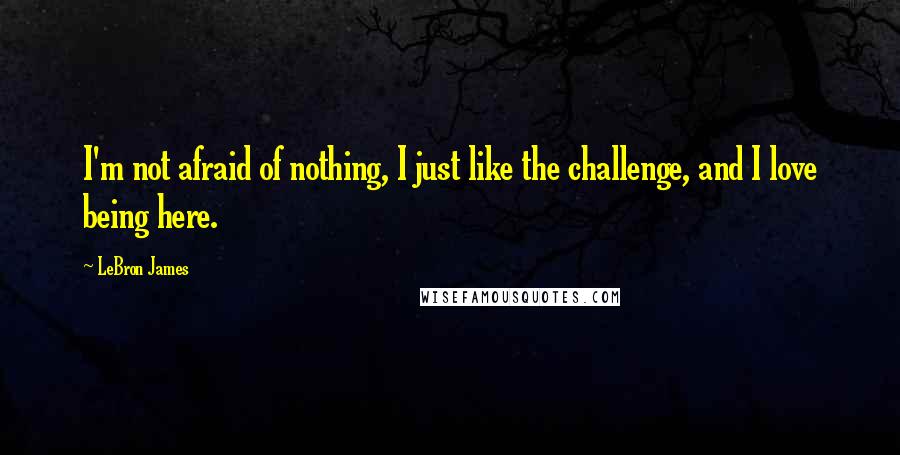 LeBron James Quotes: I'm not afraid of nothing, I just like the challenge, and I love being here.