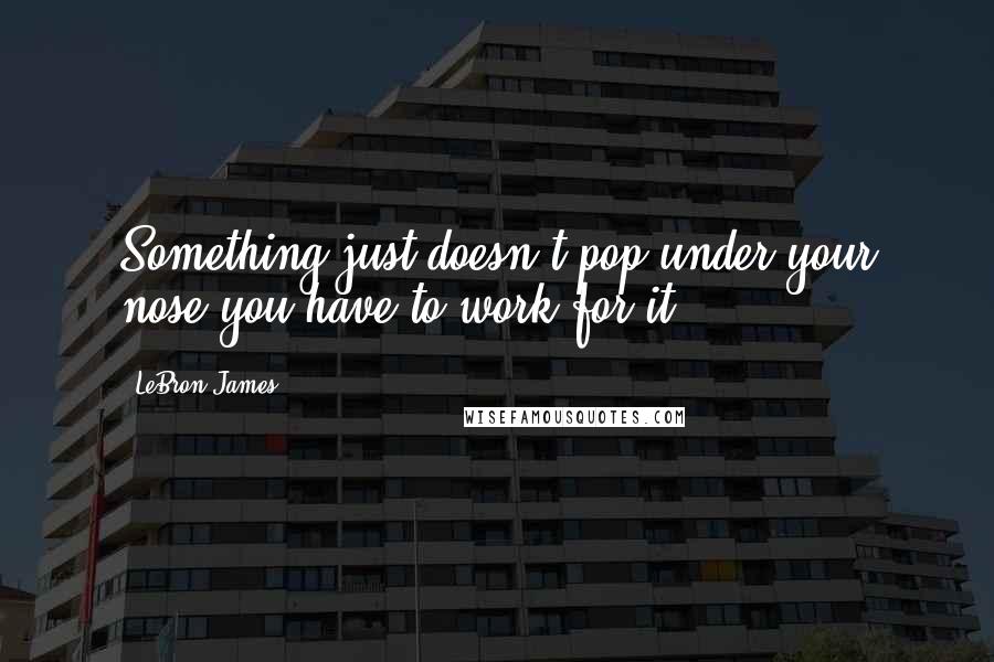 LeBron James Quotes: Something just doesn't pop under your nose;you have to work for it.