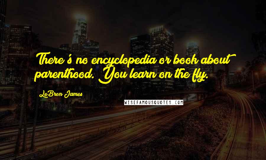 LeBron James Quotes: There's no encyclopedia or book about parenthood. You learn on the fly.