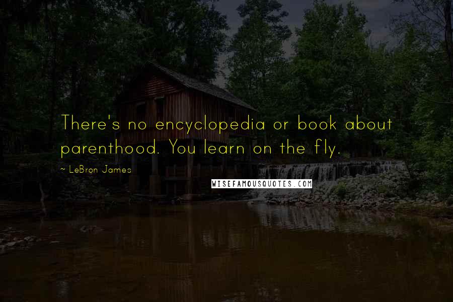 LeBron James Quotes: There's no encyclopedia or book about parenthood. You learn on the fly.
