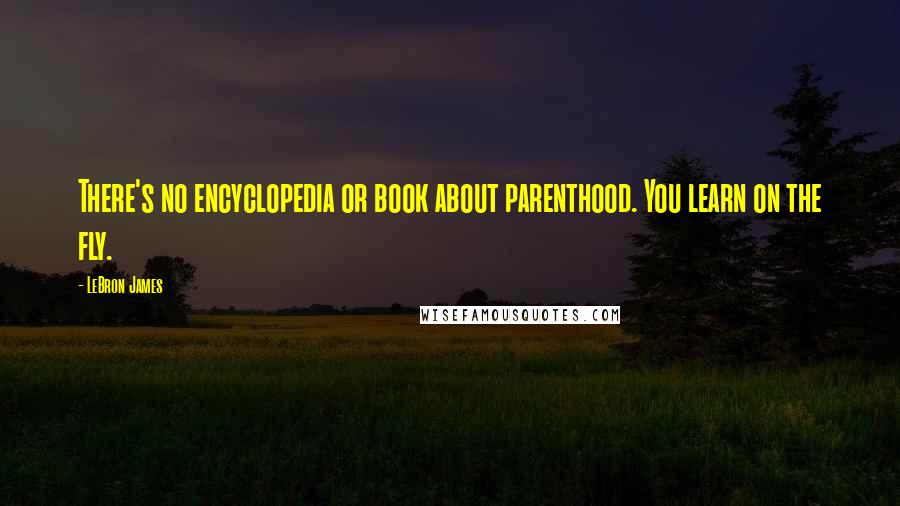 LeBron James Quotes: There's no encyclopedia or book about parenthood. You learn on the fly.