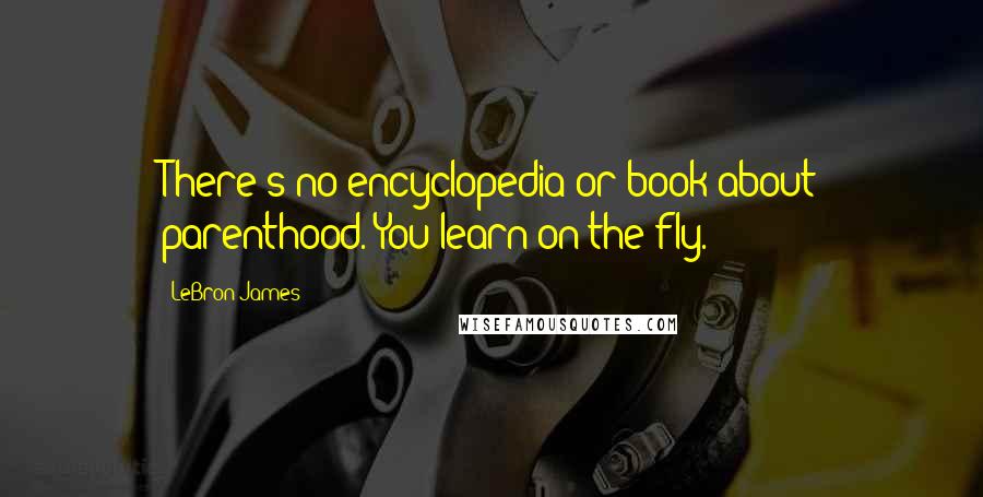 LeBron James Quotes: There's no encyclopedia or book about parenthood. You learn on the fly.