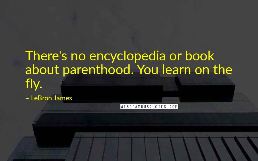 LeBron James Quotes: There's no encyclopedia or book about parenthood. You learn on the fly.