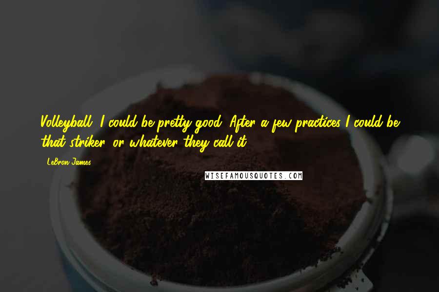 LeBron James Quotes: Volleyball, I could be pretty good. After a few practices I could be that striker, or whatever they call it.