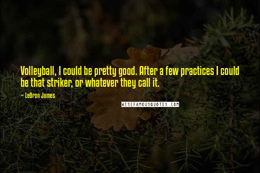LeBron James Quotes: Volleyball, I could be pretty good. After a few practices I could be that striker, or whatever they call it.