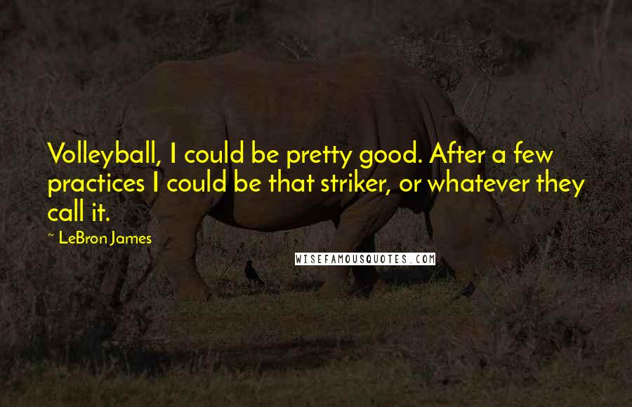 LeBron James Quotes: Volleyball, I could be pretty good. After a few practices I could be that striker, or whatever they call it.