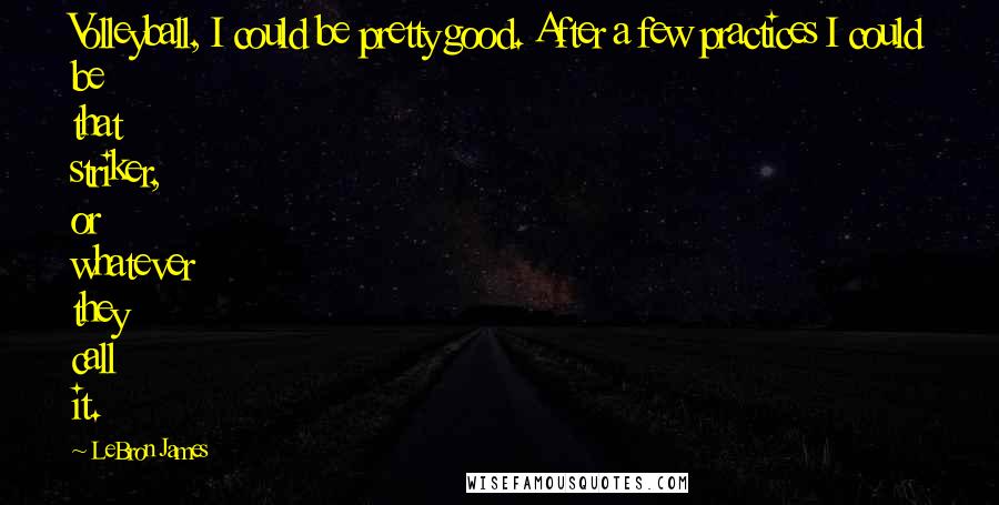 LeBron James Quotes: Volleyball, I could be pretty good. After a few practices I could be that striker, or whatever they call it.