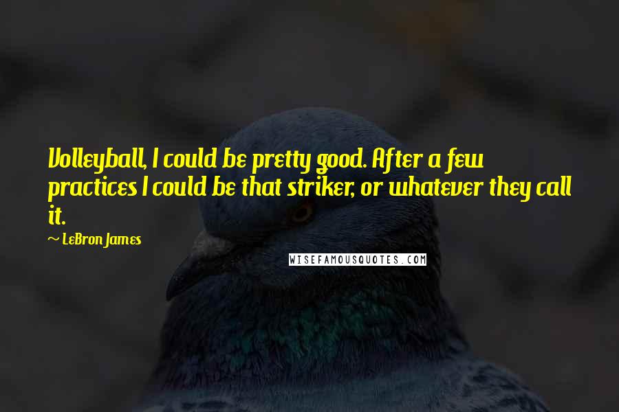 LeBron James Quotes: Volleyball, I could be pretty good. After a few practices I could be that striker, or whatever they call it.