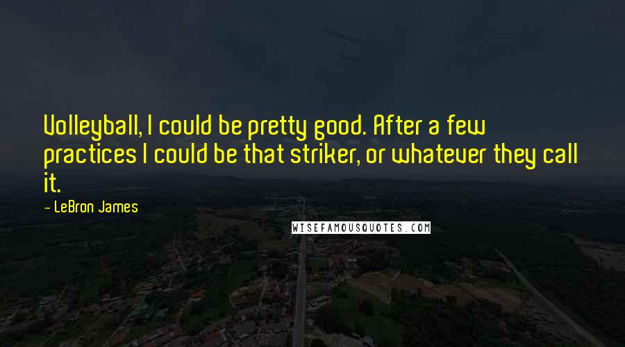 LeBron James Quotes: Volleyball, I could be pretty good. After a few practices I could be that striker, or whatever they call it.