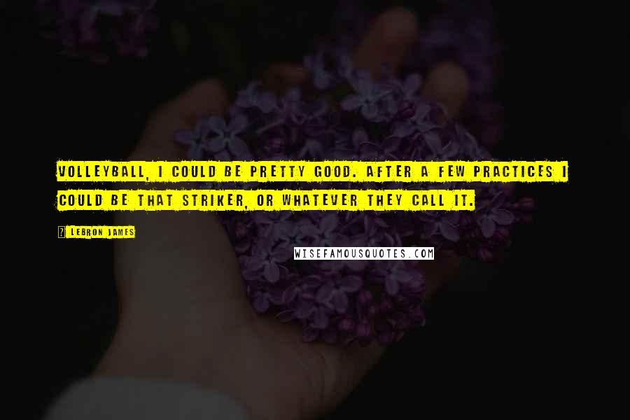 LeBron James Quotes: Volleyball, I could be pretty good. After a few practices I could be that striker, or whatever they call it.