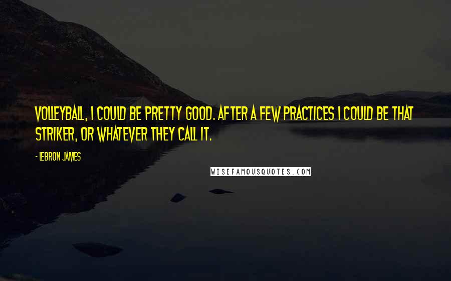 LeBron James Quotes: Volleyball, I could be pretty good. After a few practices I could be that striker, or whatever they call it.