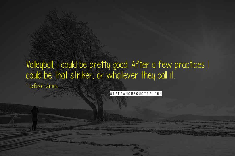 LeBron James Quotes: Volleyball, I could be pretty good. After a few practices I could be that striker, or whatever they call it.