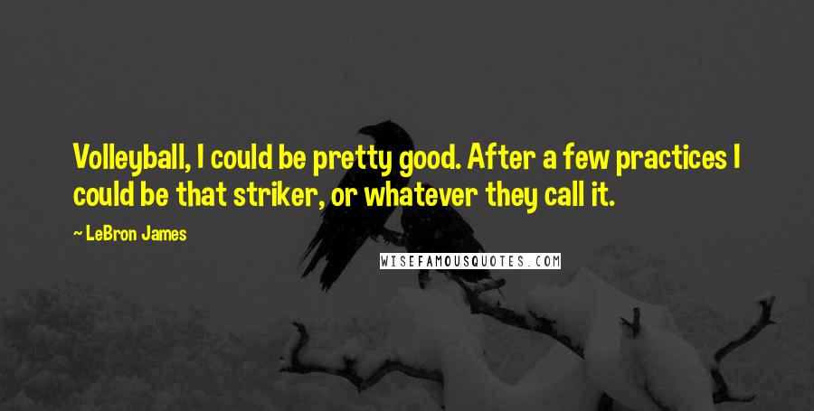 LeBron James Quotes: Volleyball, I could be pretty good. After a few practices I could be that striker, or whatever they call it.