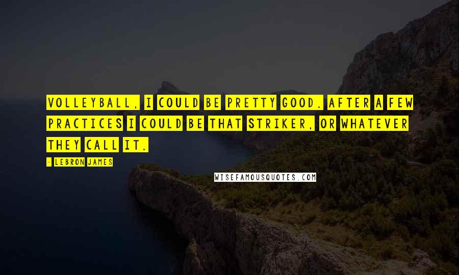 LeBron James Quotes: Volleyball, I could be pretty good. After a few practices I could be that striker, or whatever they call it.