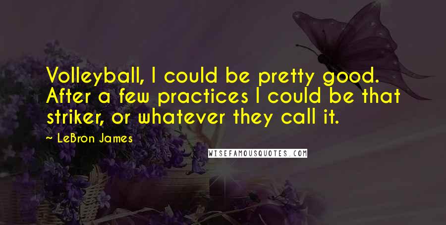 LeBron James Quotes: Volleyball, I could be pretty good. After a few practices I could be that striker, or whatever they call it.