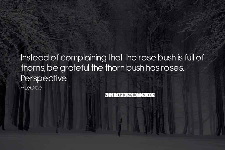 LeCrae Quotes: Instead of complaining that the rose bush is full of thorns, be grateful the thorn bush has roses. Perspective.