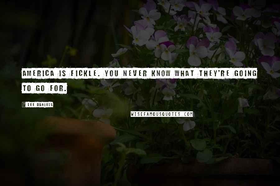 Lee Daniels Quotes: America is fickle. You never know what they're going to go for.