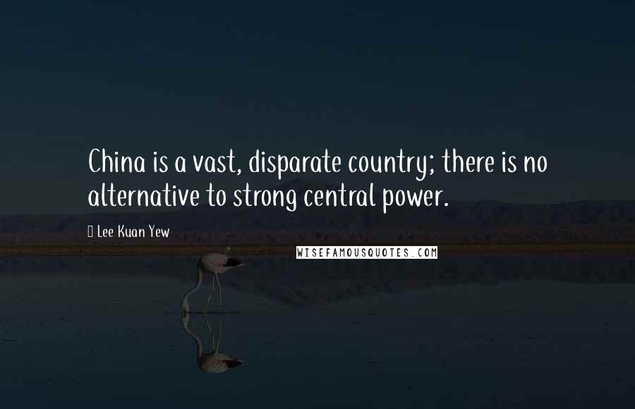 Lee Kuan Yew Quotes: China is a vast, disparate country; there is no alternative to strong central power.