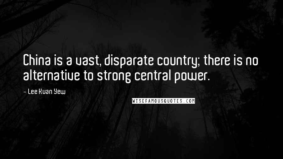 Lee Kuan Yew Quotes: China is a vast, disparate country; there is no alternative to strong central power.