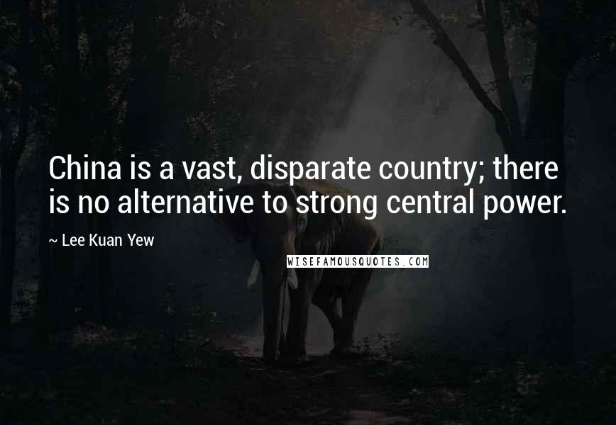 Lee Kuan Yew Quotes: China is a vast, disparate country; there is no alternative to strong central power.