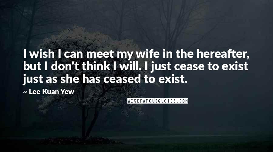 Lee Kuan Yew Quotes: I wish I can meet my wife in the hereafter, but I don't think I will. I just cease to exist just as she has ceased to exist.