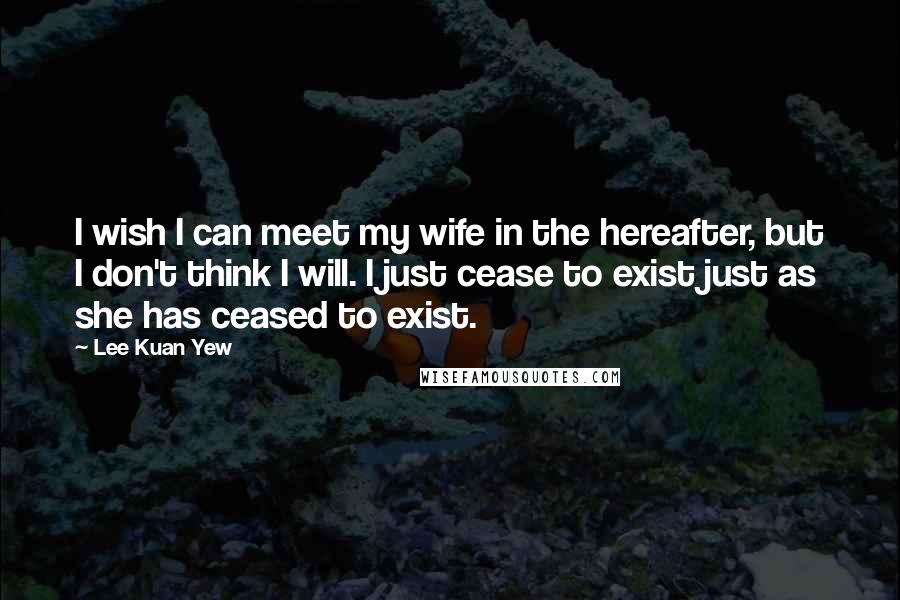 Lee Kuan Yew Quotes: I wish I can meet my wife in the hereafter, but I don't think I will. I just cease to exist just as she has ceased to exist.