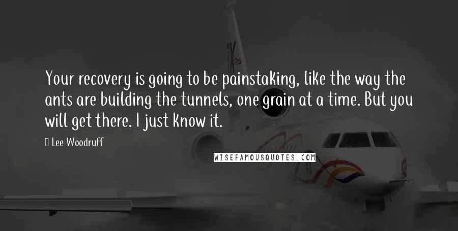 Lee Woodruff Quotes: Your recovery is going to be painstaking, like the way the ants are building the tunnels, one grain at a time. But you will get there. I just know it.