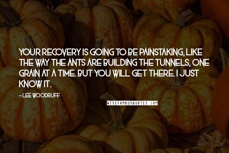 Lee Woodruff Quotes: Your recovery is going to be painstaking, like the way the ants are building the tunnels, one grain at a time. But you will get there. I just know it.