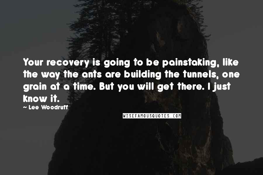 Lee Woodruff Quotes: Your recovery is going to be painstaking, like the way the ants are building the tunnels, one grain at a time. But you will get there. I just know it.