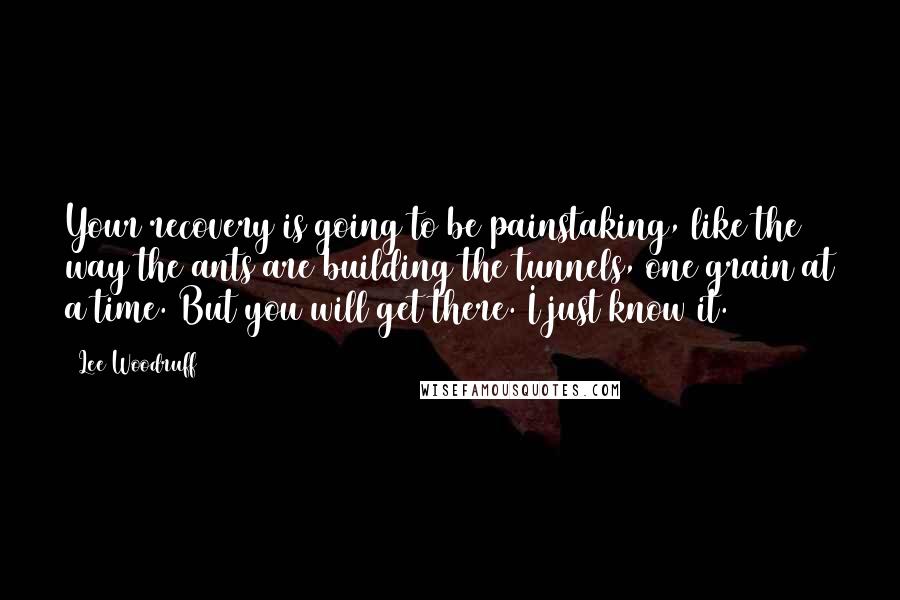 Lee Woodruff Quotes: Your recovery is going to be painstaking, like the way the ants are building the tunnels, one grain at a time. But you will get there. I just know it.