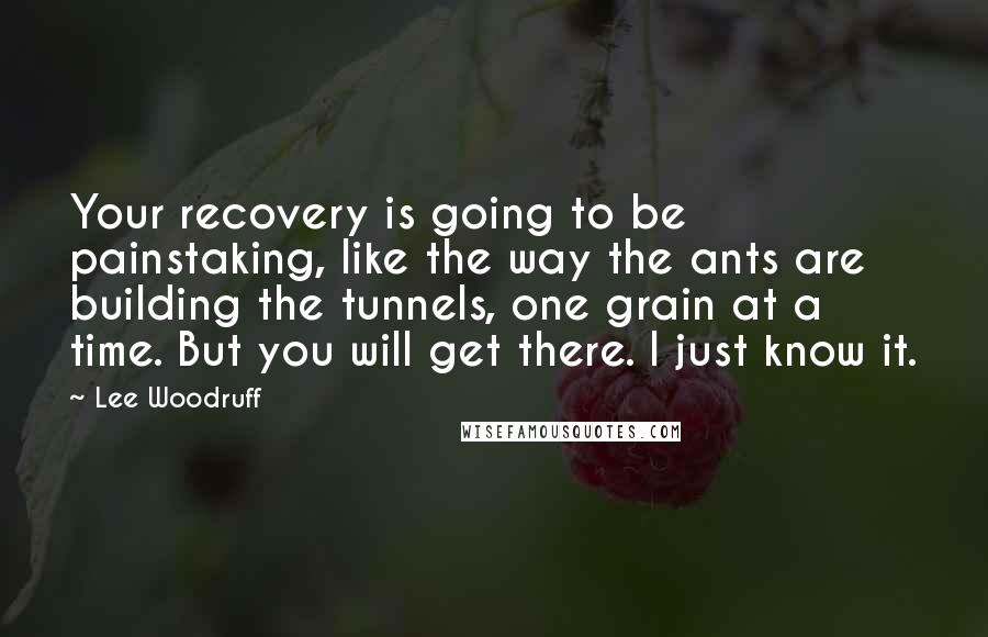 Lee Woodruff Quotes: Your recovery is going to be painstaking, like the way the ants are building the tunnels, one grain at a time. But you will get there. I just know it.