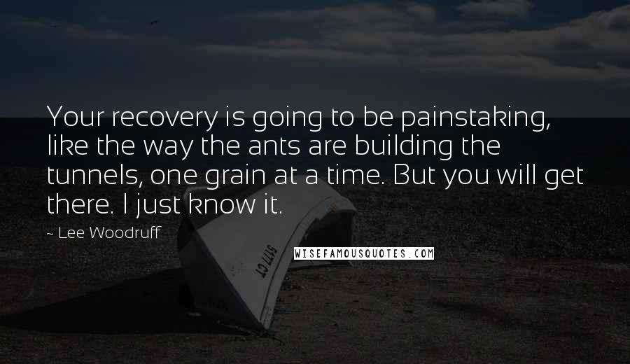 Lee Woodruff Quotes: Your recovery is going to be painstaking, like the way the ants are building the tunnels, one grain at a time. But you will get there. I just know it.