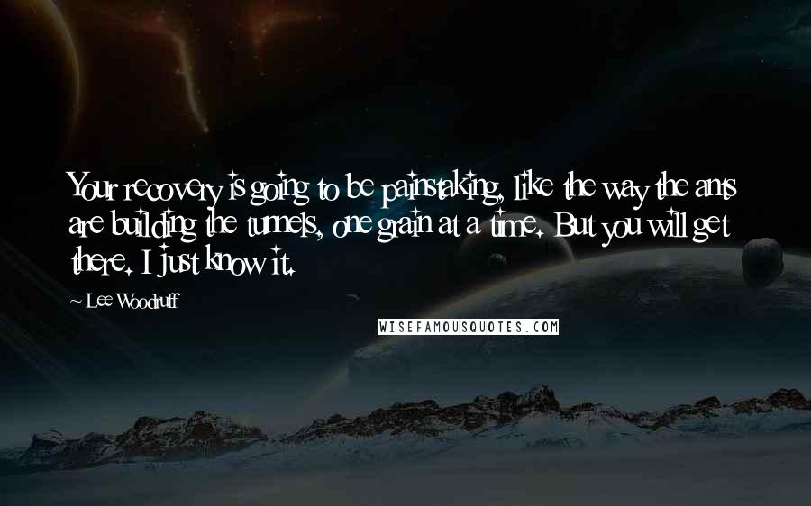 Lee Woodruff Quotes: Your recovery is going to be painstaking, like the way the ants are building the tunnels, one grain at a time. But you will get there. I just know it.