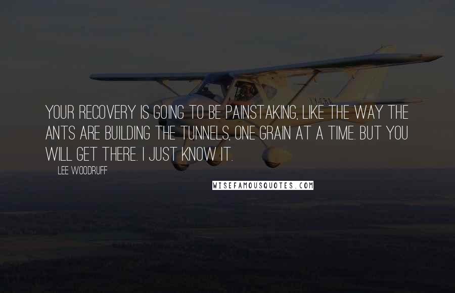Lee Woodruff Quotes: Your recovery is going to be painstaking, like the way the ants are building the tunnels, one grain at a time. But you will get there. I just know it.