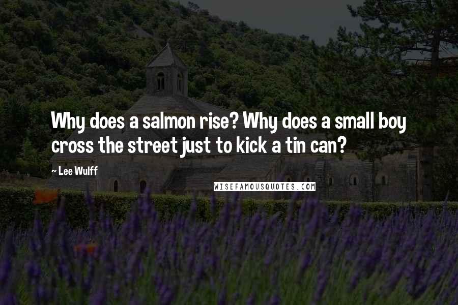 Lee Wulff Quotes: Why does a salmon rise? Why does a small boy cross the street just to kick a tin can?